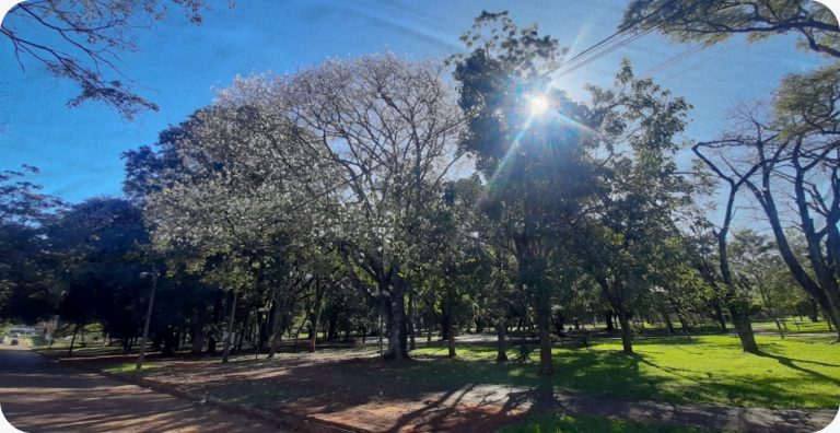 Invitan a jóvenes a postularse a un bootcamp sobre cambio climático
